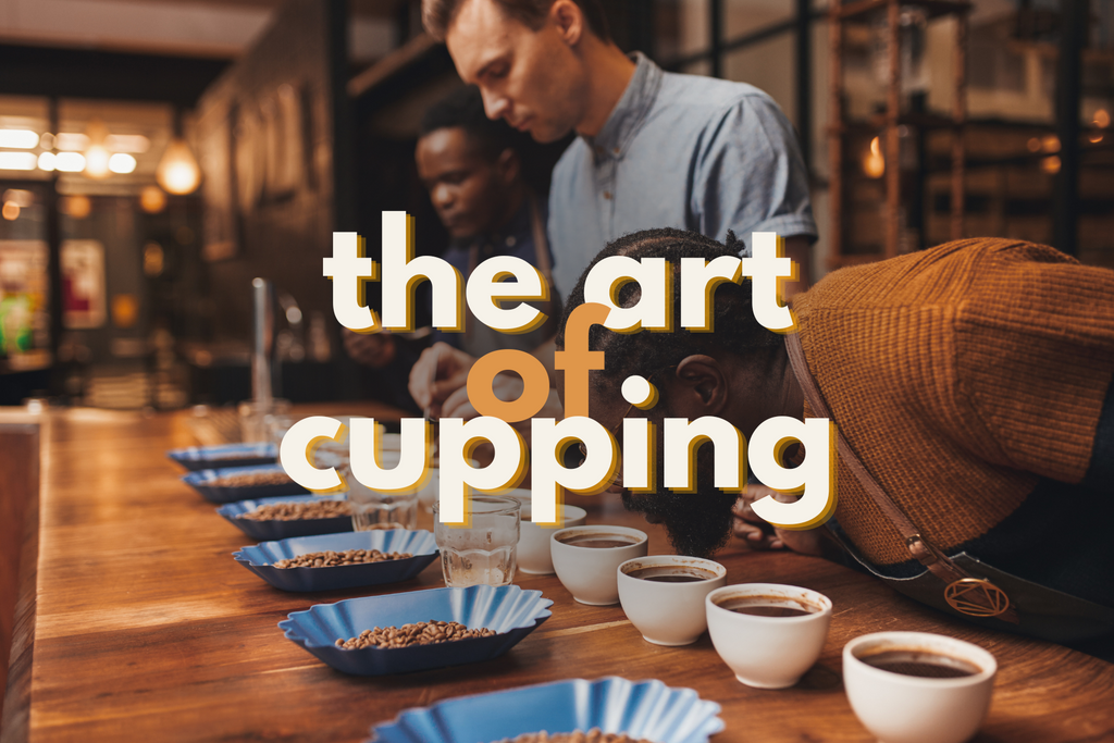 The Art of Cupping
