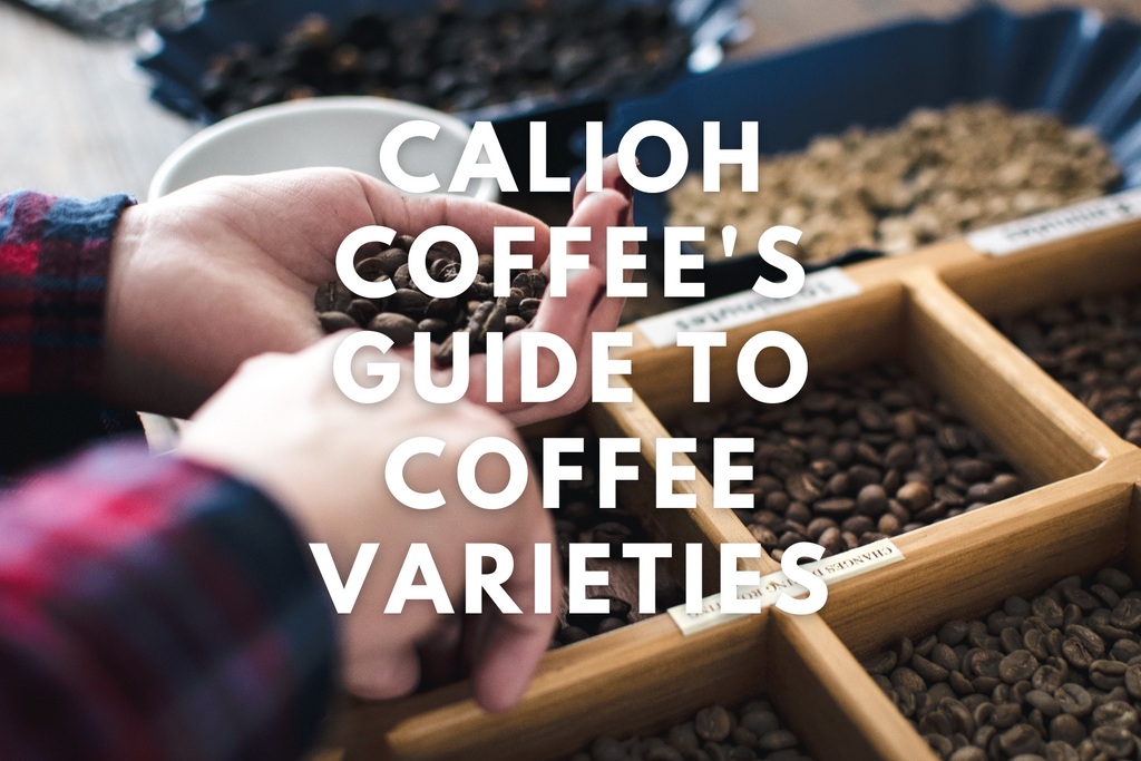 Calioh Coffee's Guide to Coffee Bean Varieties