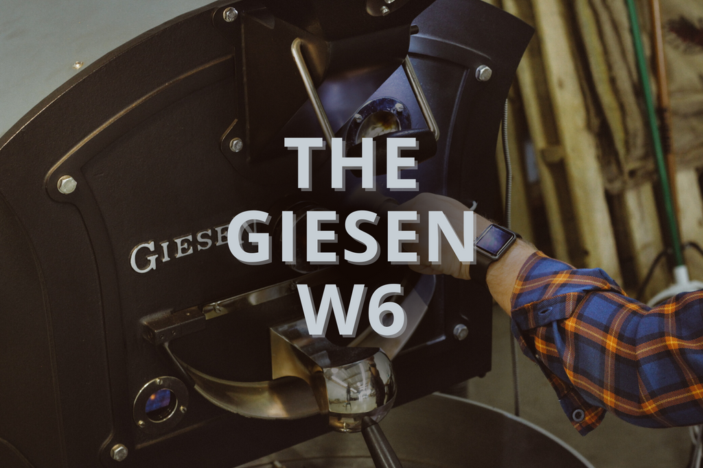 Introducing the Giesen W6