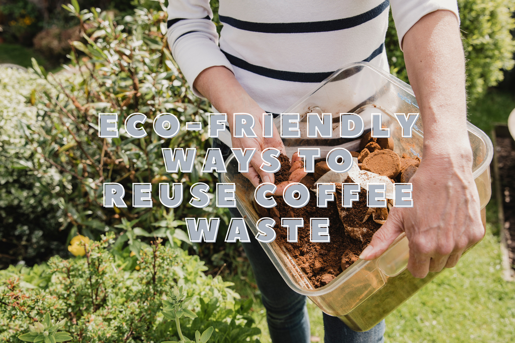 Eco-Friendly Ways to Reuse Coffee Waste